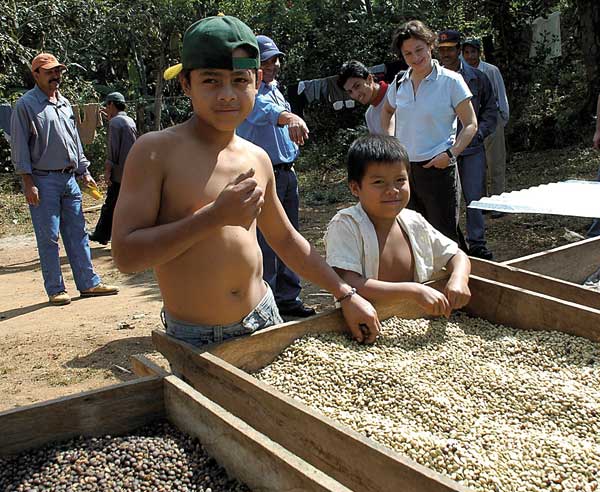 Die Rheinische Affaire ist eine Mischung aus den besten Bohnen Nicaraguas, Kolumbiens und Boliviens. Die Rheinische Affaire ist eine Mischung aus den besten Bohnen Nicaraguas, Kolumbiens und Boliviens.